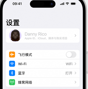 吉阳镇appleID维修服务iPhone设置中Apple ID显示为灰色无法使用