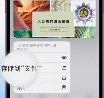 吉阳镇apple维修中心分享iPhone文件应用中存储和找到下载文件