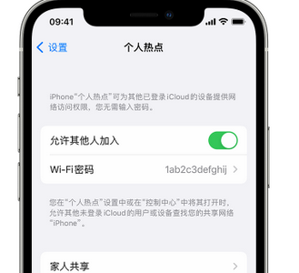 吉阳镇apple服务站点分享iPhone上个人热点丢失了怎么办 