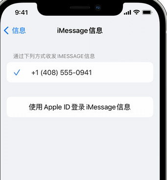 吉阳镇apple维修iPhone上无法正常发送iMessage信息