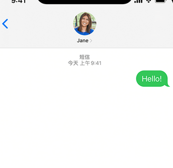 吉阳镇apple维修iPhone上无法正常发送iMessage信息