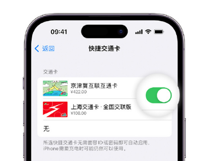 吉阳镇apple维修点分享iPhone上更换Apple Pay快捷交通卡手绘卡面 