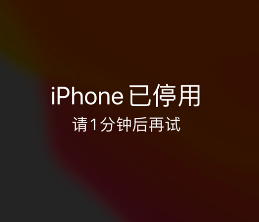 吉阳镇苹果手机维修分享:iPhone 显示“不可用”或“已停用”怎么办？还能保留数据吗？ 