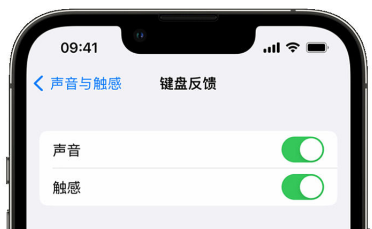 吉阳镇苹果手机维修分享iPhone 14触感键盘使用方法 