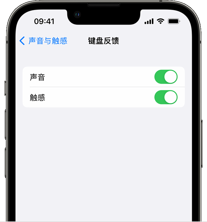 吉阳镇苹果14维修店分享如何在 iPhone 14 机型中使用触感键盘 