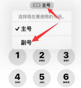 吉阳镇苹果14维修店分享iPhone 14 Pro Max使用副卡打电话的方法 