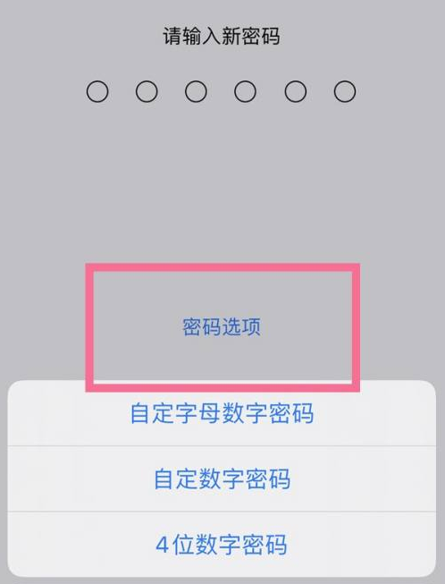 吉阳镇苹果14维修分享iPhone 14plus设置密码的方法 