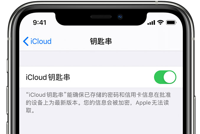 吉阳镇苹果手机维修分享在 iPhone 上开启 iCloud 钥匙串之后会储存哪些信息 